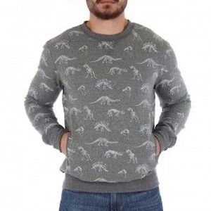 Free Nature Dinosaur pullover sweatshirt